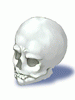 List item Skull_zps09a57242