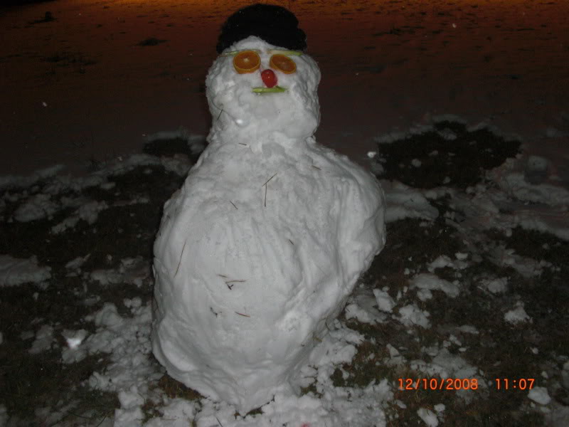 Snowmen x3 015-1