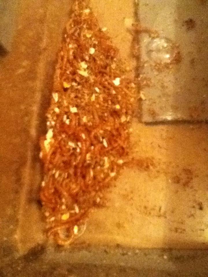 Mealworm Colony 2015! [Picture Thread] - Page 9 IMG_3048_zpsh54r8mk8