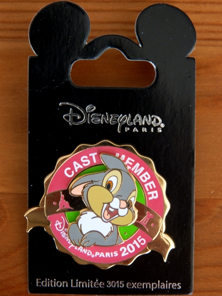 Le Pin Trading à Disneyland Paris - Page 18 P1120196_zpsy7qstxi6