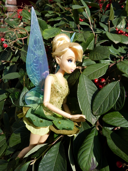 fairies designer - Disney Fairies Designer Collection (depuis 2014) - Page 29 P1070395_zpsf0d08fd3