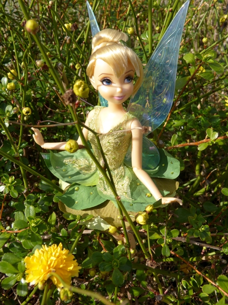 Disney Fairies Designer Collection (depuis 2014) - Page 29 P1070456_zpsf22f224a