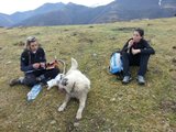 Sira - H, x perro de aguas (PILOÑA) Th_SIRA_mountainwalk_170213_04_zps42785df8