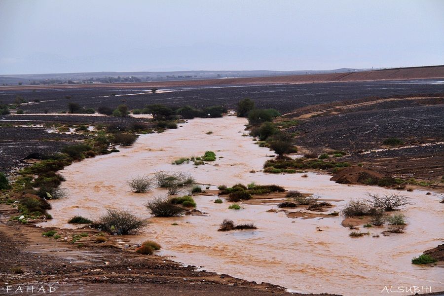 أمـطـار بــدر والـصميـد وسيـول تـاريـخـيه على السلـيـم .! الـجمـعه 09-01-1434هـ  IMG_0519