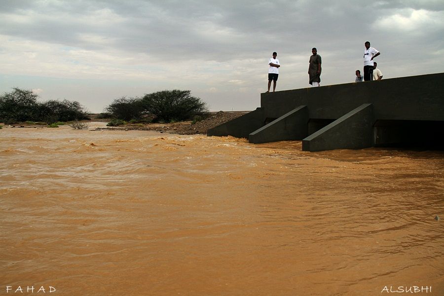 أمـطـار بــدر والـصميـد وسيـول تـاريـخـيه على السلـيـم .! الـجمـعه 09-01-1434هـ  IMG_0535