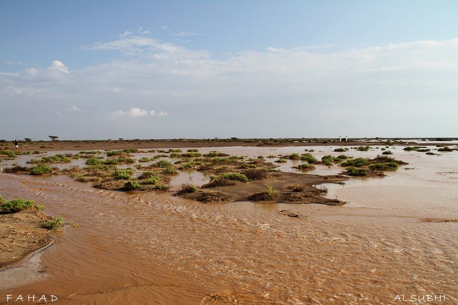 أمـطـار بــدر والـصميـد وسيـول تـاريـخـيه على السلـيـم .! الـجمـعه 09-01-1434هـ  IMG_0764