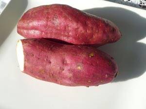 சர்க்கரைவள்ளிக் கிழங்கு Sweet-potato-medical-benefits_zpsd00b8862