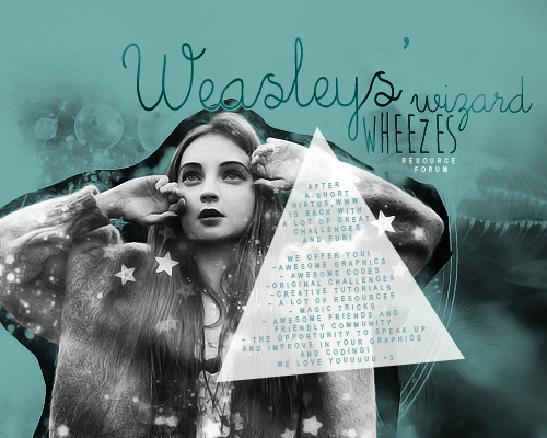 weasleys' wizard wheezes  Addd_zpse63d77f6