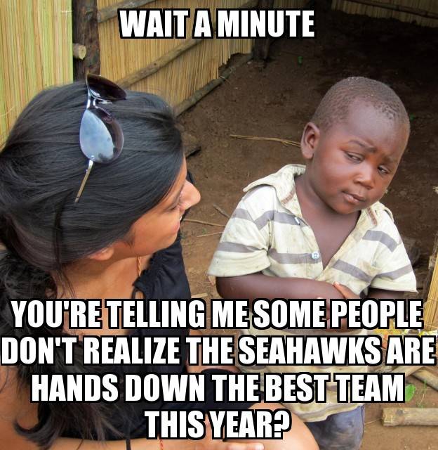 GO SEAHAWKS!!!! Sea_zps2123942f