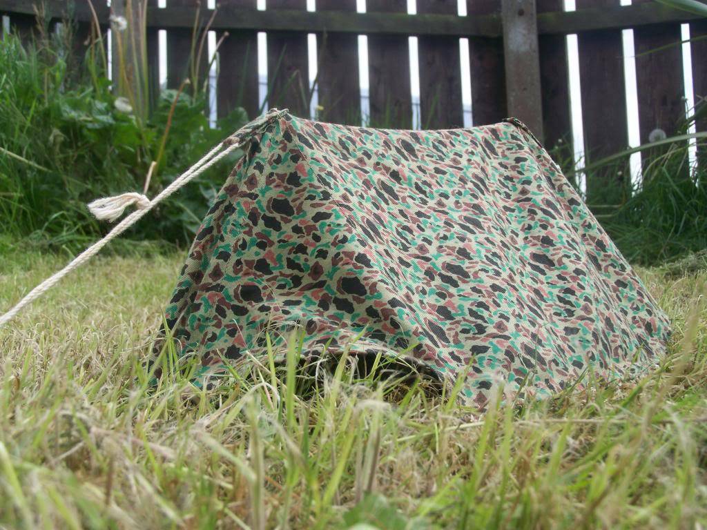 cammo pup tent 1019_zpsfc12283d