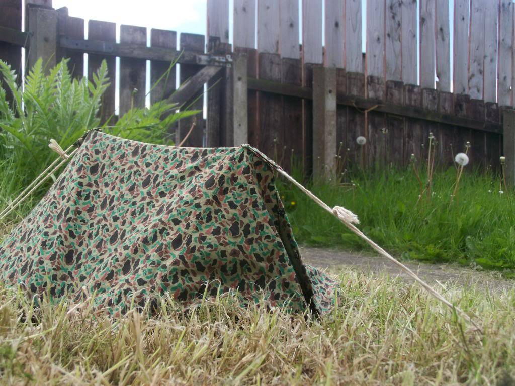 cammo pup tent 1020_zps2fd714c5