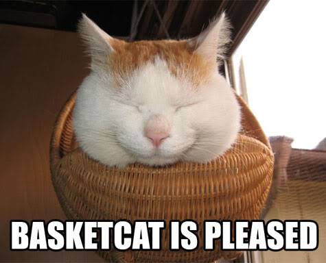 lolcats Basketcat