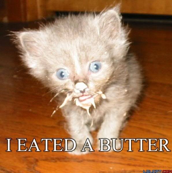 lolcats Butter