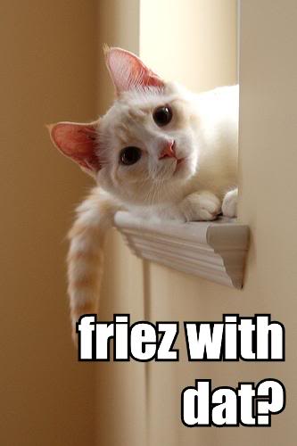 lolcats Friezwithdat