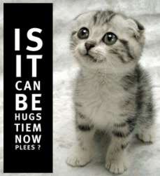 lolcats Hugstiem