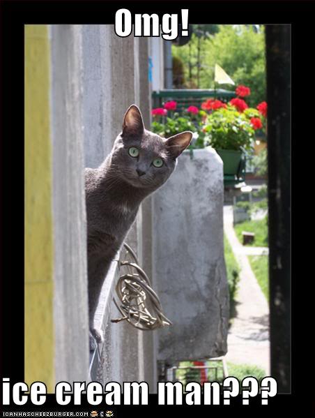 lolcats Icecreamman