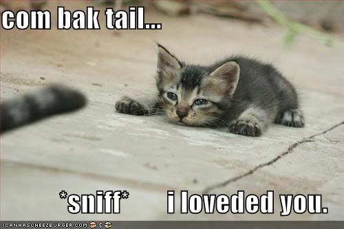 lolcats Ilovededyou