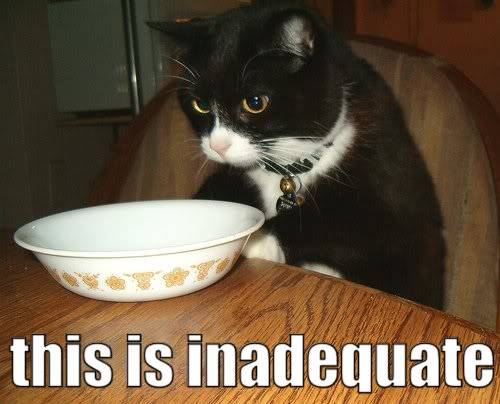 lolcats Inadequate