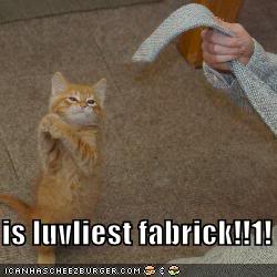 lolcats Luvliestfabric