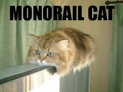 lolcats Monorailcat