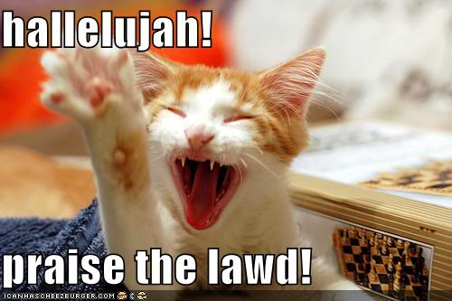 lolcats Praisethelawd