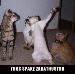 lolcats Thusspakezarathustra