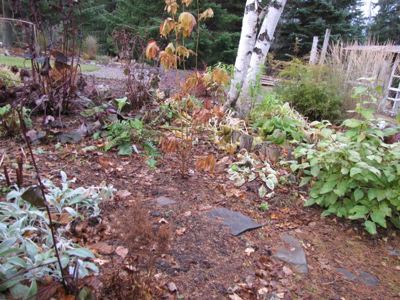 Jardin Rêves inachevés 20-10-2009018