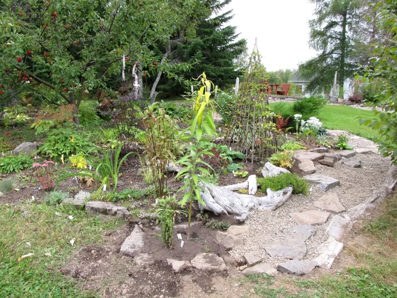 Ma cabane de Grand-mère (La grand-mère c'est moi.) Sentier