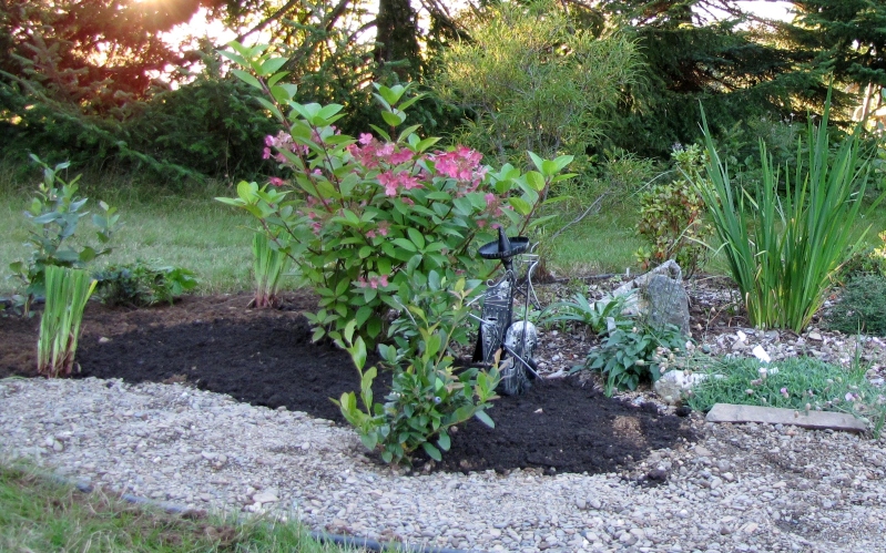 Plate-bande pour mes Rhododendrons. IMG_4078