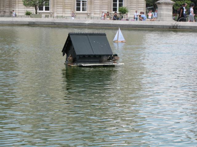 Visite du Jardin Luxembourg 7 juillet 2013 IMG_0809