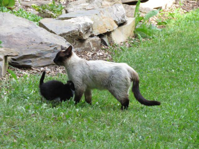 Visite au jardin  IMG_2678_640x480