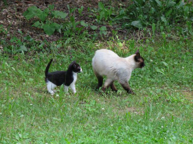 Visite au jardin  IMG_2691_640x480