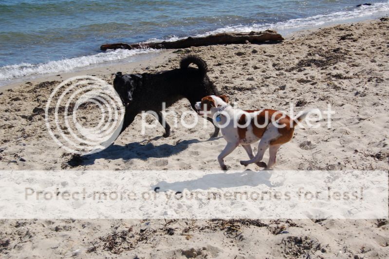 Saxon's Beach Trip DSC_0368