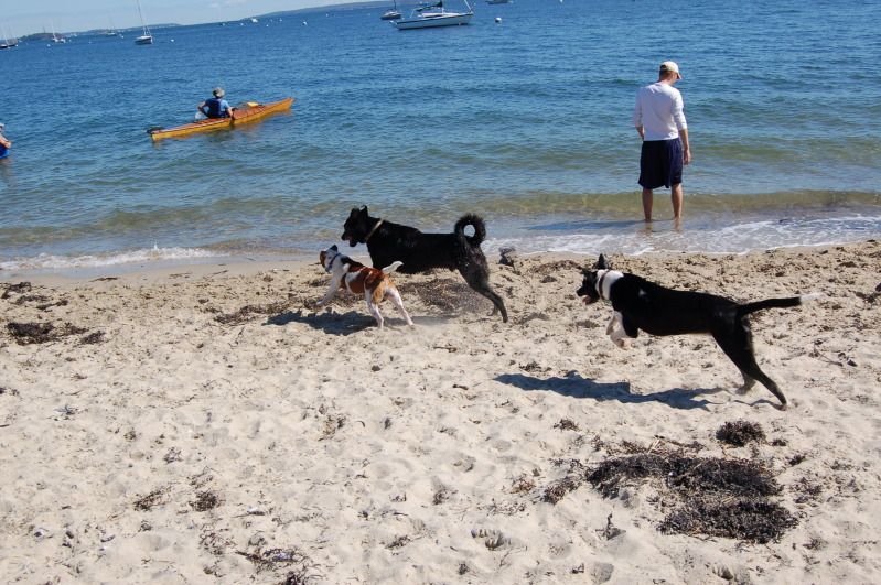 Saxon's Beach Trip DSC_0369