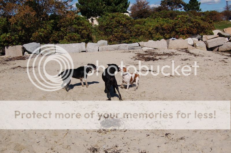 Saxon's Beach Trip DSC_0370