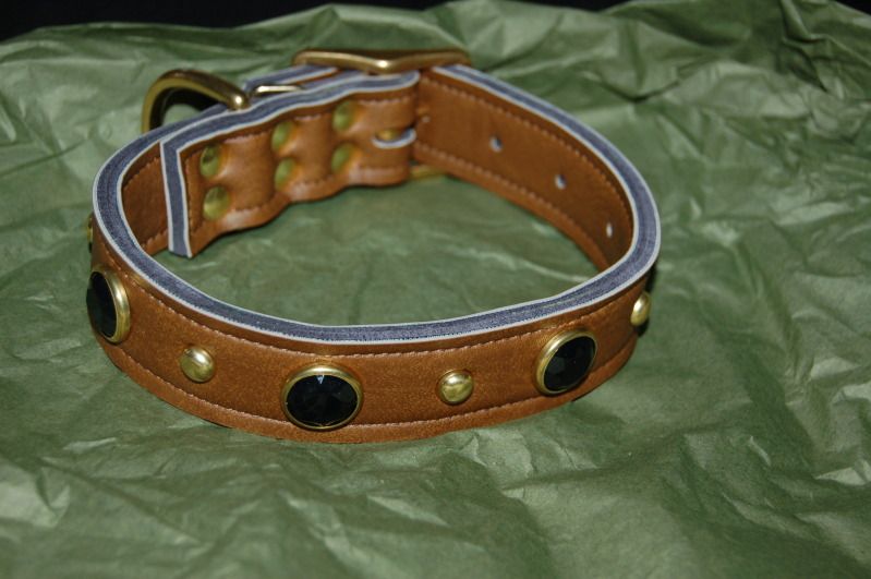 Saxon's Collar (Pic Heavy)!! DSC_1028