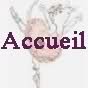 Accueil