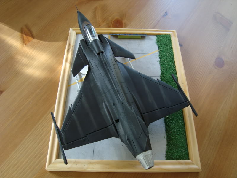 Jas 39 Gripen "Black" DSC04301