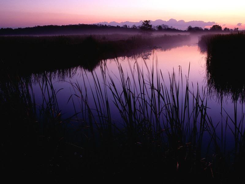  2 SunsetatLoxahatcheeNationalWildlife