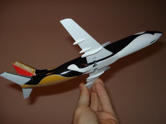 B-737 SEA WORLD 1/144 - MAJ le 28-08-09 - FINI ! - Page 3 DSC05809