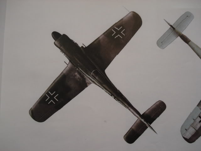 [TAMIYA] Focke Wulf FW-190D 1/72 DSC09393