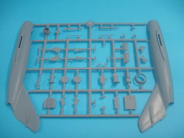 Mig17-F Fresco [AZ models] 1/72 DSC02480