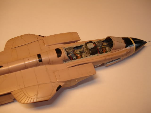 [HASEGAWA] TORNADO IDS  1/72 - Page 2 DSC08931