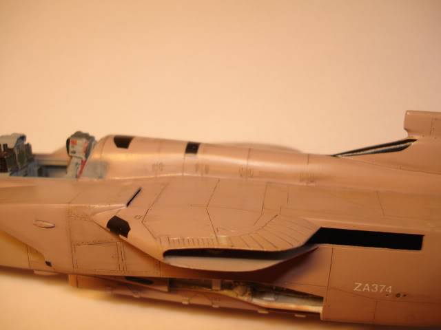 [HASEGAWA] TORNADO IDS  1/72 - Page 2 DSC08938