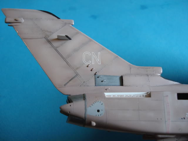 [HASEGAWA] TORNADO IDS  1/72 - Page 3 DSC08996