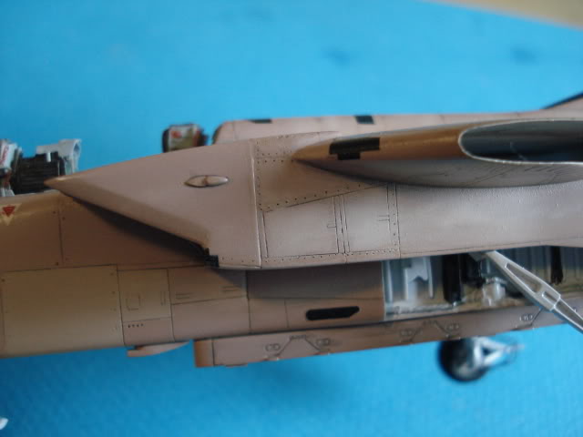 [HASEGAWA] TORNADO IDS  1/72 - Page 3 DSC09000