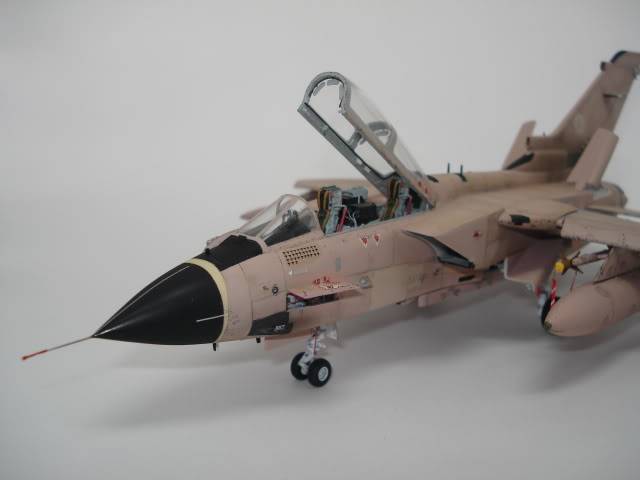 [HASEGAWA] TORNADO IDS  1/72 - Page 5 DSC09271