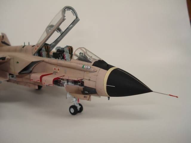 [HASEGAWA] TORNADO IDS  1/72 - Page 5 DSC09278