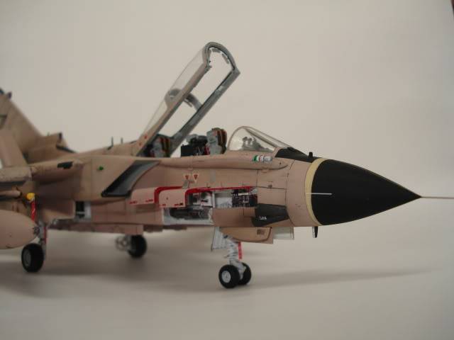 [HASEGAWA] TORNADO IDS  1/72 - Page 5 DSC09281