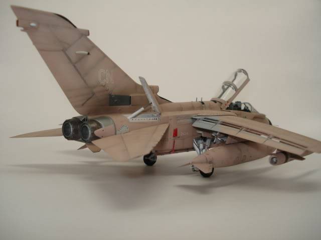 [HASEGAWA] TORNADO IDS  1/72 - Page 5 DSC09293